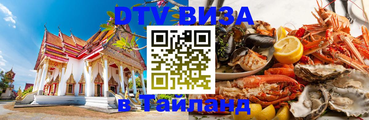 Оформление DTV визы под ключ: стоимость и тарифы, только загранпаспорт - Кишинёв  20.11.2025 